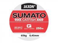 Jaxon Geflochtene Schnüre Sumato Catfish 250m