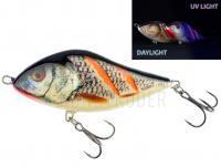 Jerkbait Salmo Slider SD10S  WRGS Wounded Real Grey Shiner
