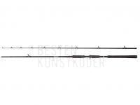 Rute Abu Garcia Beast Pike Casting 2.44m 30-100g BESTEN KUNSTKODER Angelshop