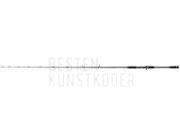 Baitcastrute Dragon X-Treme HD Casting 200C 1.98m 60-200g BESTEN KUNSTKODER Angelshop