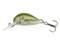 Wobbler Dorado Alaska A-2,5 Floating BS BESTEN KUNSTKODER Angelshop