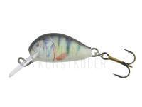 Wobbler Dorado Alaska A-2,5 Floating P BESTEN KUNSTKODER Angelshop