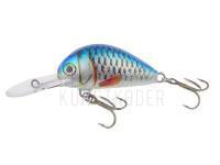 Wobbler Dorado Alaska A-3,5 Floating B BESTEN KUNSTKODER Angelshop