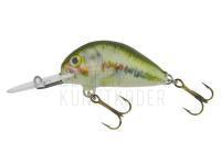 Wobbler Dorado Alaska A-3,5 Floating BS BESTEN KUNSTKODER Angelshop