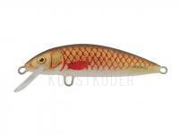 Wobbler Dorado Classic C-4 Floating BR BESTEN KUNSTKODER Angelshop