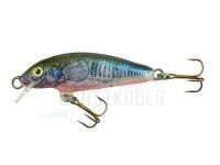 Wobbler Dorado Classic C-4 Floating CK BESTEN KUNSTKODER Angelshop