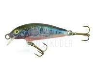 Wobbler Dorado Classic C-5 Floating CK BESTEN KUNSTKODER Angelshop