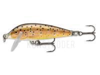 Wobbler Rapala CountDown 7cm - Brown Trout BESTEN KUNSTKODER Angelshop