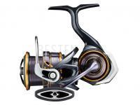 Rolle Daiwa Caldia MQ LT 1000D