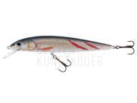 Wobbler Jaxon Fish Max 21cm F Color KSY BESTEN KUNSTKODER Angelshop