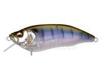 Megabass IxI FURIOUS 0.5 - Gillkko BESTEN KUNSTKODER Angelshop