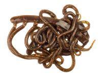 Hareline Mini Squiggle Worms - Brown Olive BESTEN KUNSTKODER Angelshop