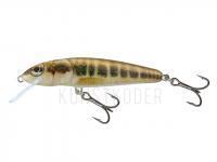 Wobbler Salmo Minnow M5F - Minnow BESTEN KUNSTKODER Angelshop