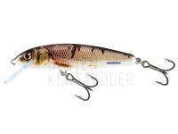 Wobbler Salmo Minnow M5F  - Wounded Dace BESTEN KUNSTKODER Angelshop