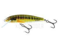 Wobbler Salmo Minnow M6F 6cm - Holo Real Minnow BESTEN KUNSTKODER Angelshop