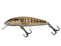 Wobbler Salmo Minnow M7F - Minnow BESTEN KUNSTKODER Angelshop