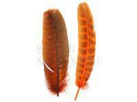 Ozark Turkey Quill 012 - Orange BESTEN KUNSTKODER Angelshop