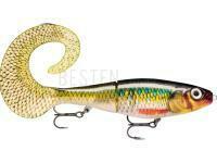 Köder Rapala X-Rap Otus 17cm - Rock n Roach BESTEN KUNSTKODER Angelshop