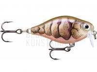 Wobbler Rapala X-Light Crank Shallow Runner 3.5cm - Purple Prawn UV BESTEN KUNSTKODER Angelshop