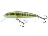 Wobbler Salmo Minnow M6S 6cm - Minnow BESTEN KUNSTKODER Angelshop