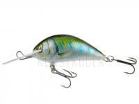 Wobbler Kenart Shark 5cm GG BESTEN KUNSTKODER Angelshop