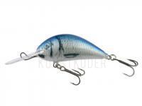 Wobbler Kenart Shark 5cm NRB BESTEN KUNSTKODER Angelshop