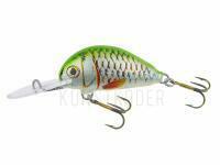 Wobbler Dorado Alaska A-3,5 Floating GRS Limited Edition BESTEN KUNSTKODER Angelshop