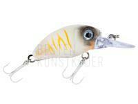 Wobbler Balzer Mini Diver FL 5cm 5g - Blackhead BESTEN KUNSTKODER Angelshop