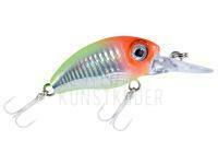 Wobbler Balzer Mini Diver FL 5cm 5g - Clown BESTEN KUNSTKODER Angelshop