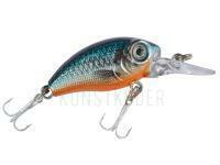 Wobbler Balzer Mini Diver FL 5cm 5g - Roach silver BESTEN KUNSTKODER Angelshop