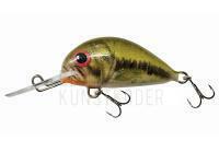 Wobbler Dorado Alaska A-3,5 Floating BS BESTEN KUNSTKODER Angelshop