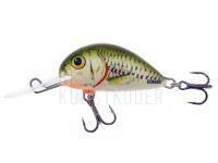 Wobbler Dorado Alaska A-3,5 Floating GRS BESTEN KUNSTKODER Angelshop