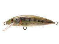 Wobbler Dorado Classic C-4 Floating GO BESTEN KUNSTKODER Angelshop