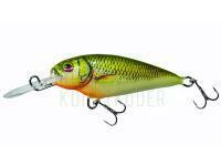 Wobbler Dorado Invader I-7 Floating GRS BESTEN KUNSTKODER Angelshop