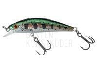 Wobbler Gunki Gamera 50 HW - HL Rainbow Trout BESTEN KUNSTKODER Angelshop