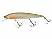 Wobbler Illex Rerange 110 SP | 11cm 14.8g - Secret wakasagi BESTEN KUNSTKODER Angelshop