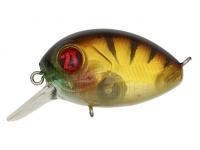 Wobbler Pontoon21 Baby Red Rag 32F SR | 32mm 4.8g - 837 MI Gold Perch BESTEN KUNSTKODER Angelshop