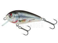 Wobbler Salmo Butcher BR5S | 5cm 7g - HRD (Holographic Real Dace) BESTEN KUNSTKODER Angelshop