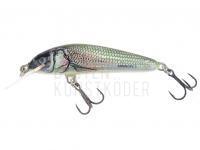 Wobbler Salmo Minnow M5F - Holo Bleak BESTEN KUNSTKODER Angelshop