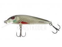 Wobbler Salmo Minnow M6F 6cm - Dace BESTEN KUNSTKODER Angelshop