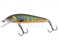 Wobbler Salmo Minnow M6F 6cm - Lake Charr BESTEN KUNSTKODER Angelshop