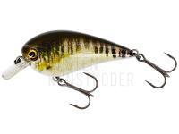 Wobbler Westin BassBite Squarebill BassBite 2.5 | 7cm 16g - Real Minnow