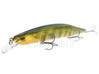 DUO Realis Jerkbait 160SP