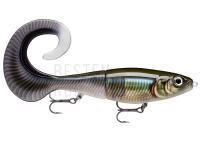 Köder Rapala X-Rap Otus 17cm - Smelt On The Beach (SMB) BESTEN KUNSTKODER Angelshop