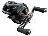 Baitcastrolle Daiwa 24 Steez SV TW 100L