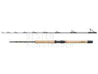 Rute Regiment IV Pro Boat 2.10m F 20-30lb 2Sec Conv