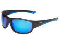 Polarized Sunglasses Jaxon - X67SMB