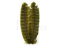 Ozark Turkey Quill 089 - Olive