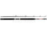 Rute Penn Warfare Boat 1.80m M 30lb 2Sec Conv