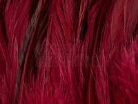 Rooster Saddle Feather - Claret